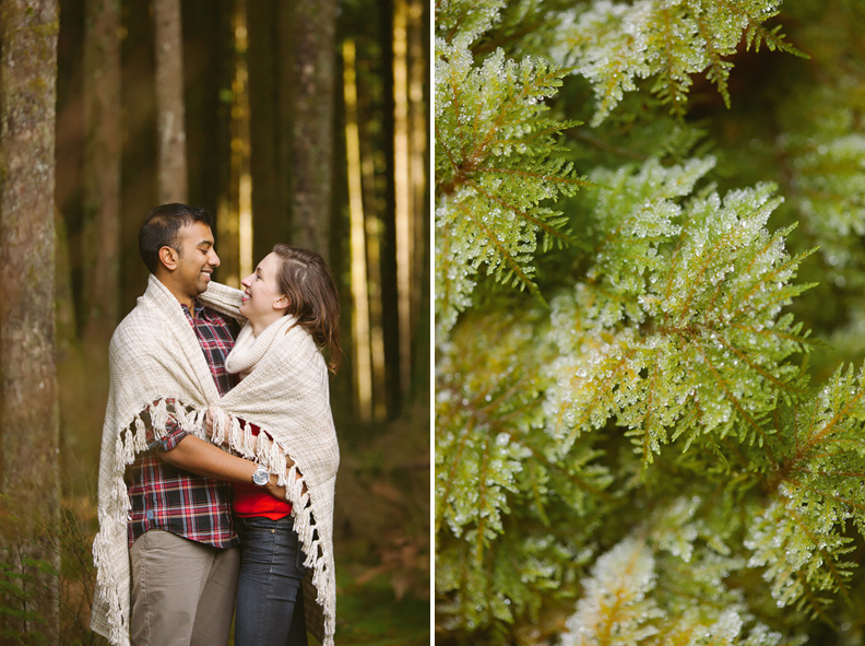 26Forest_Engagement_Session